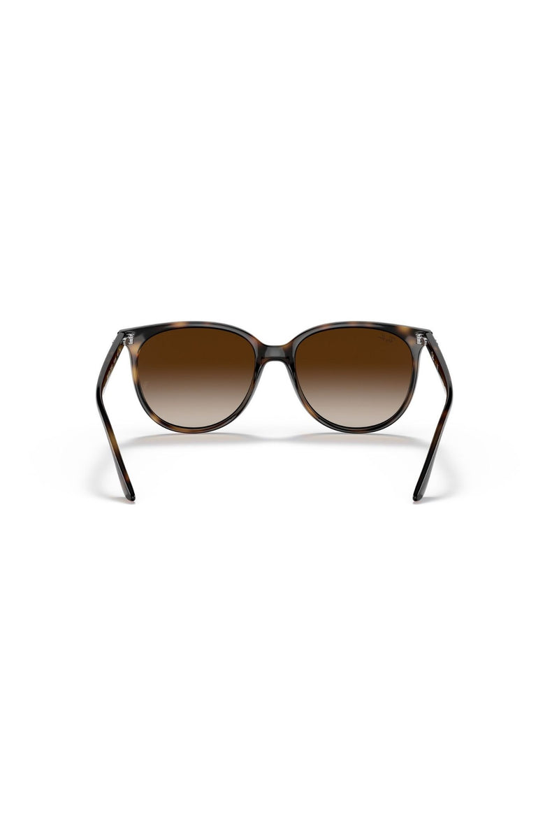 Havana Square Frame/ Brown Lens - Brown