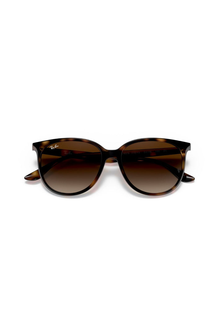 Havana Square Frame/ Brown Lens - Brown