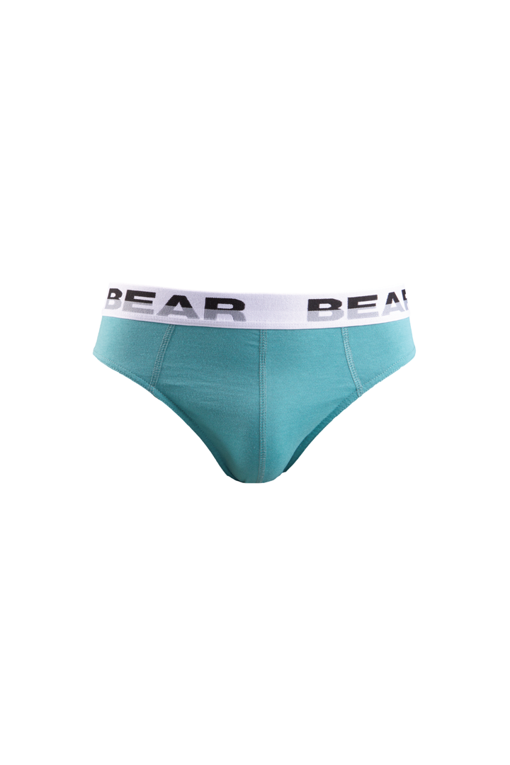 5 Pack Bear Mini Briefs - Multi