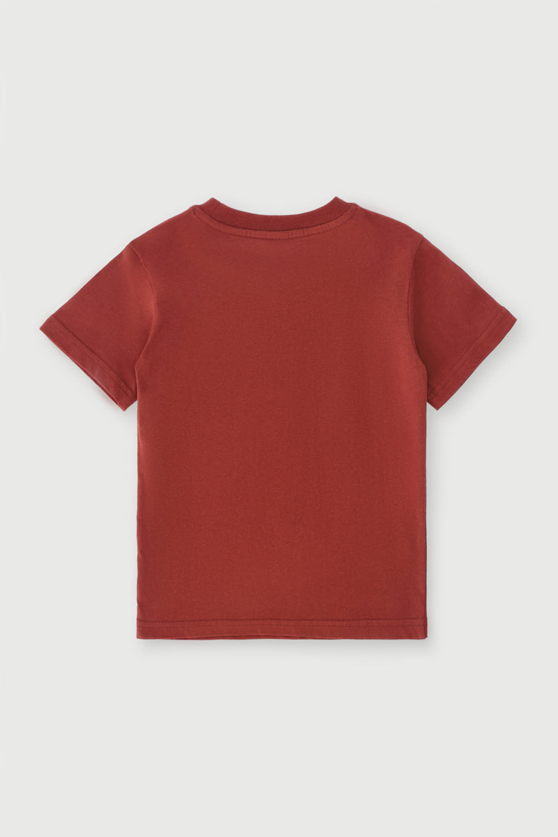 Pre-Boys Skateboard Street Tee - Rust