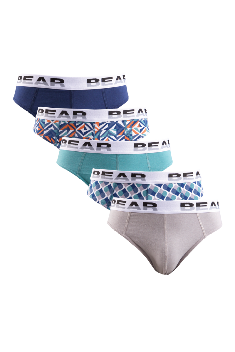 5 Pack Bear Mini Briefs - Multi