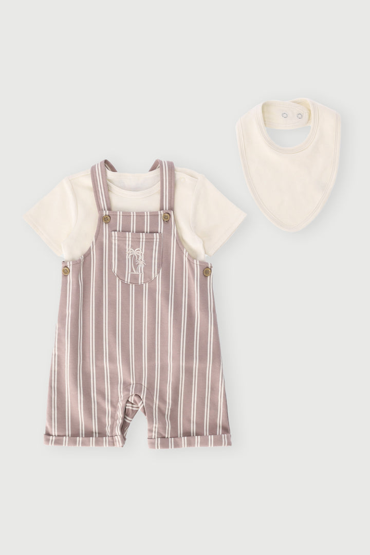 Baby Boys Dungaree With Tee & Bib Set - Stone