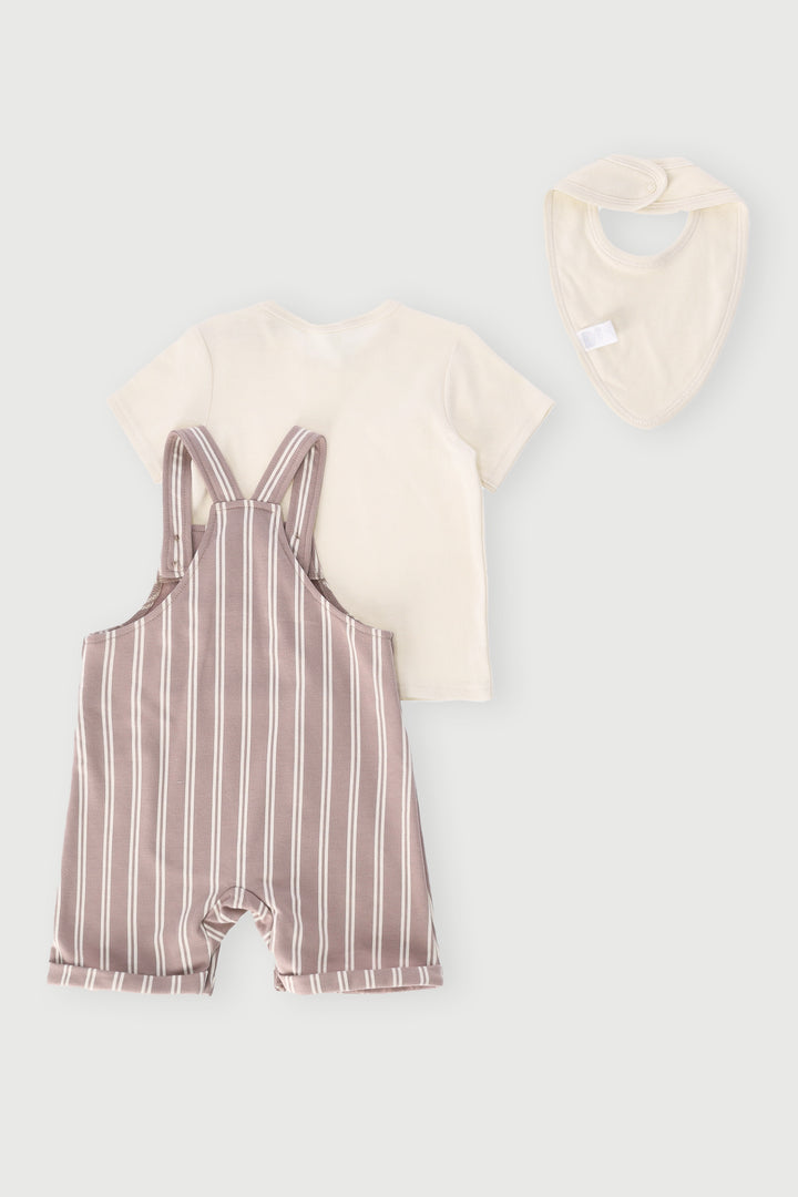 Baby Boys Dungaree With Tee & Bib Set - Stone