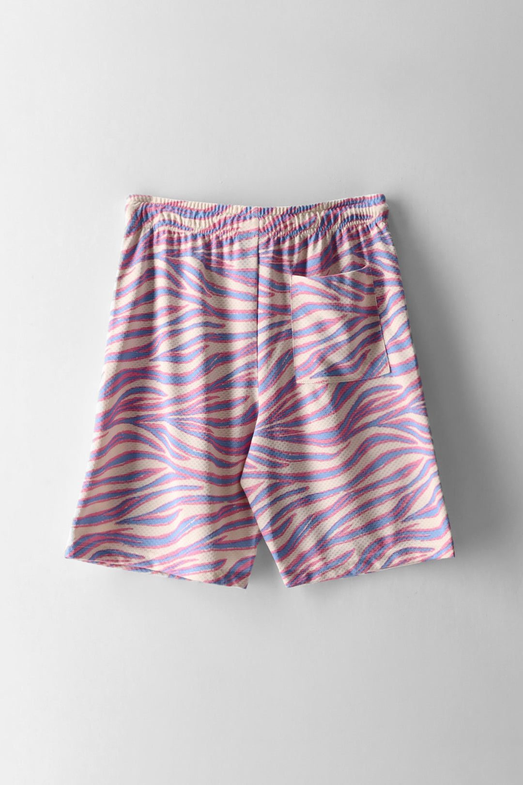 Boys Tiger Print Beast Mesh Shorts - Multi