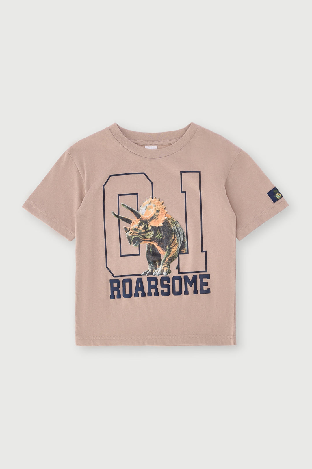Pre-Boys Oversized Dino Varisty Tee - Stone