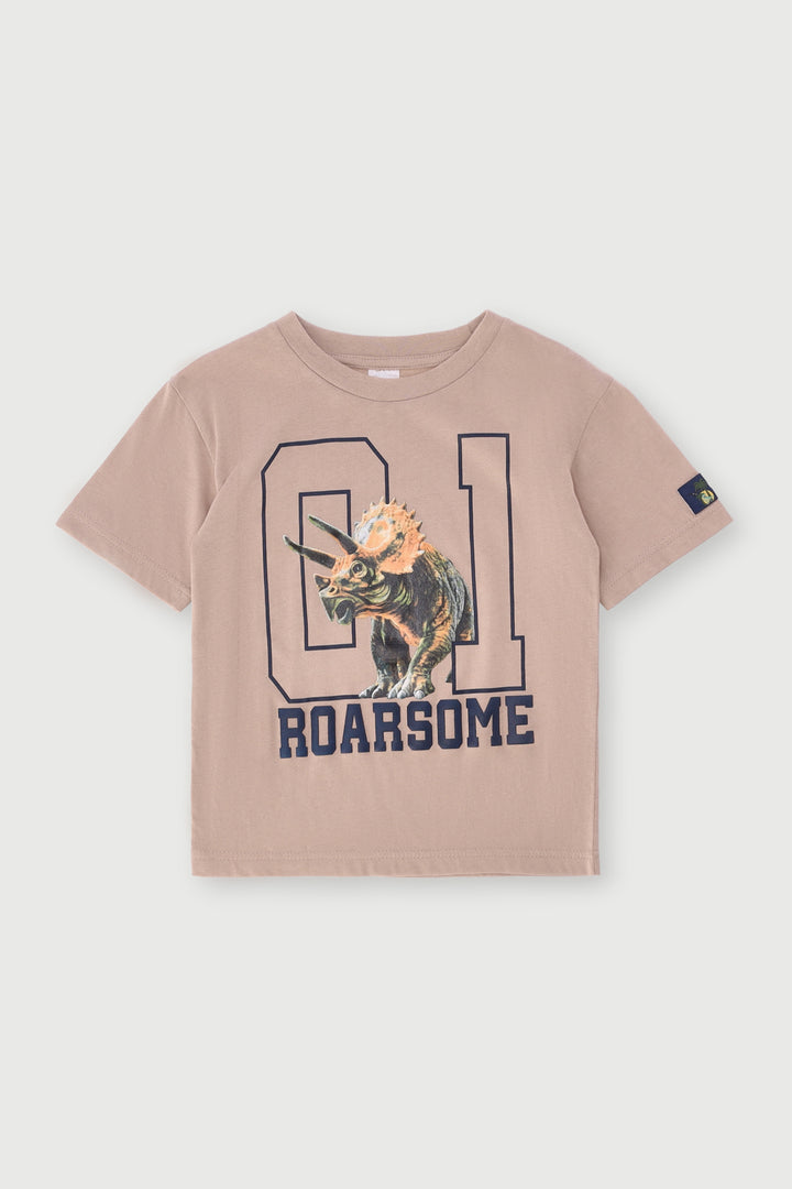 Pre-Boys Oversized Dino Varisty Tee - Stone