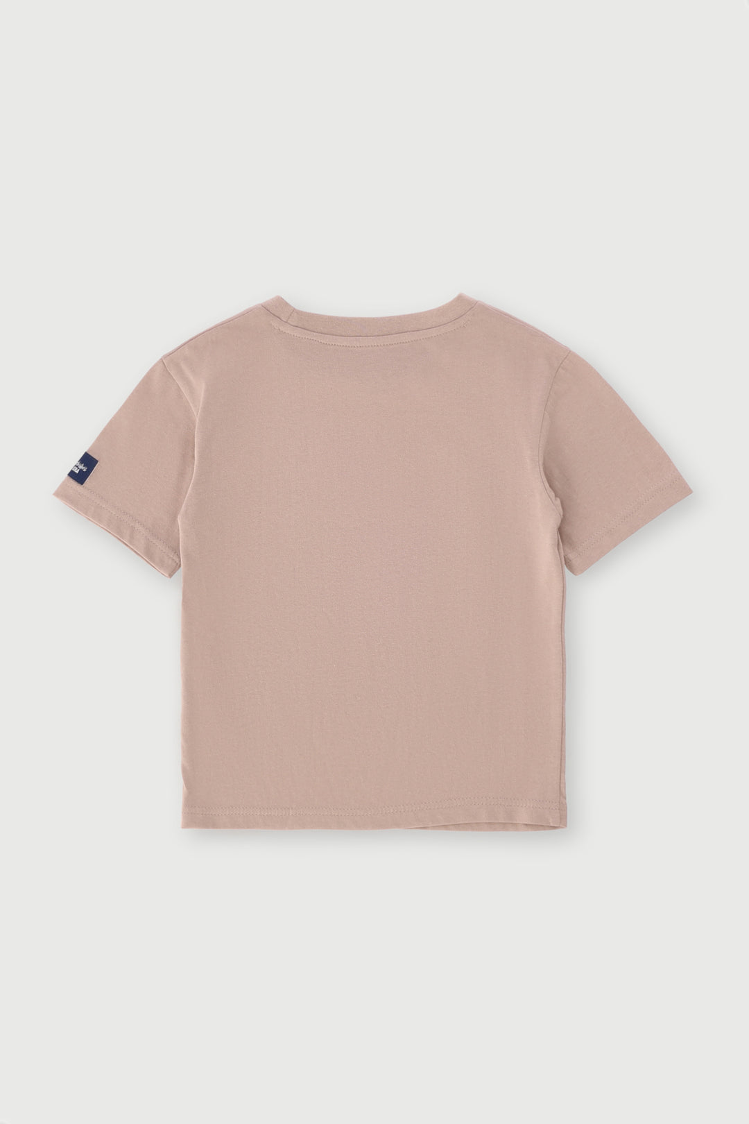 Pre-Boys Oversized Dino Varisty Tee - Stone