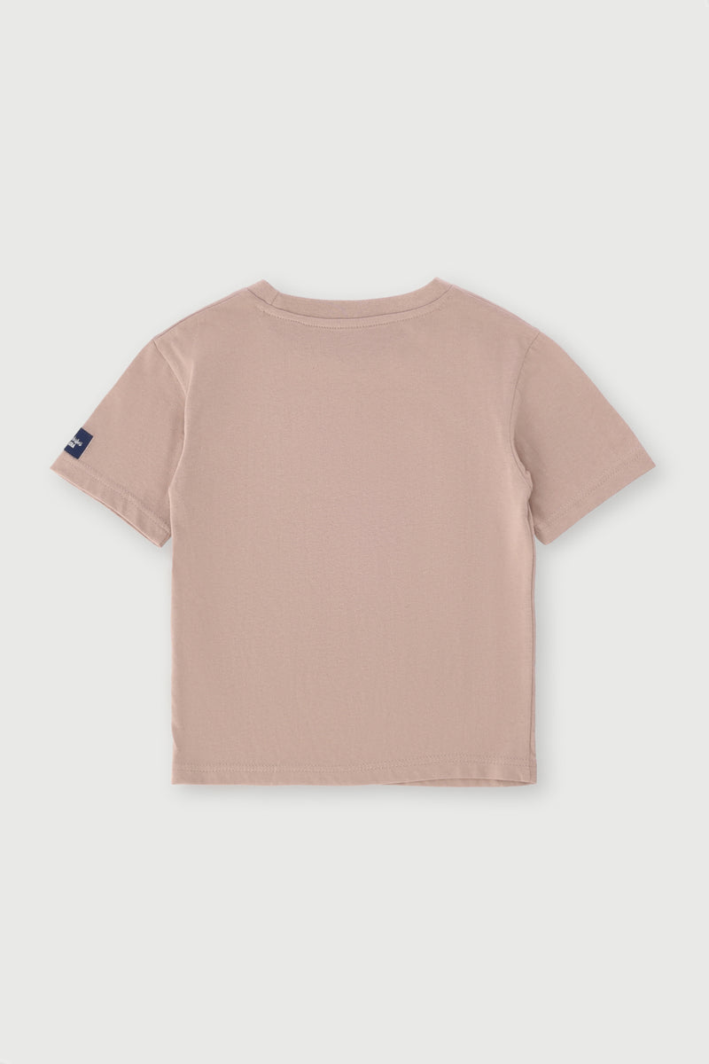 Pre-Boys Oversized Dino Varisty Tee - Stone