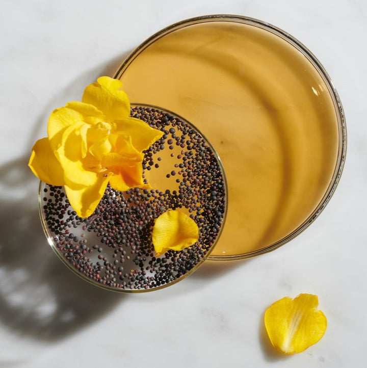 Ferulic Brew  Rejuvenating facial essence