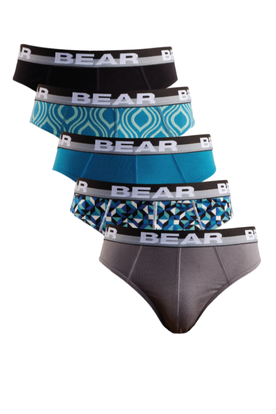 5 Pack Bear Mini Briefs - Multi