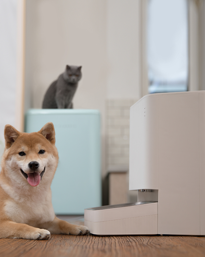 SMART PET FOOD FEEDER