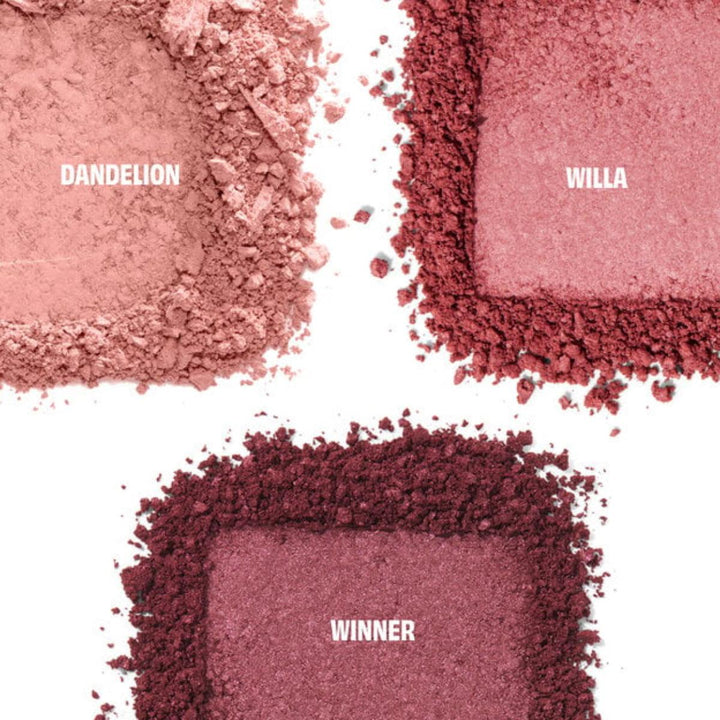 Cheek Score Blush Trio Palette