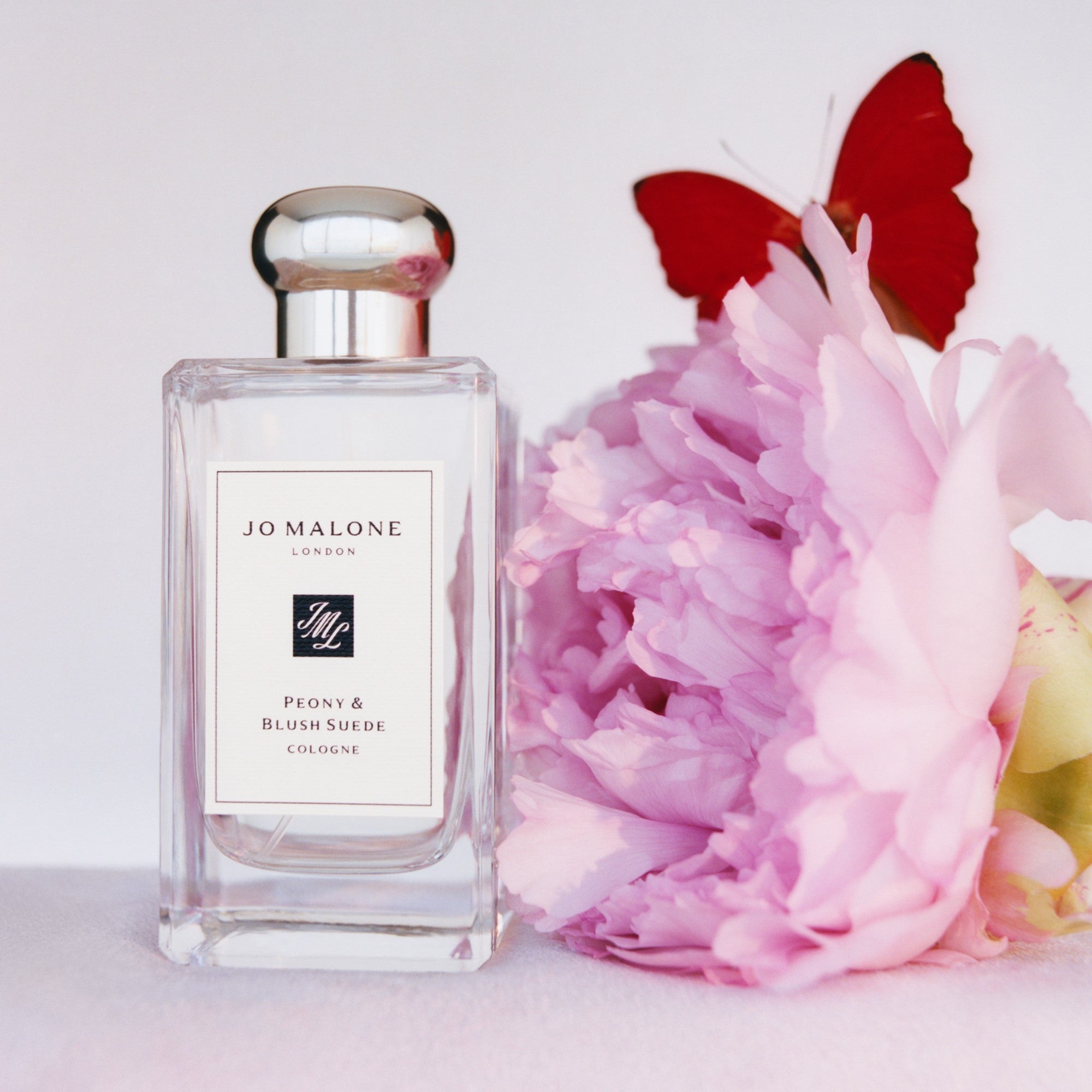 Ladies Peony & Blush Suede Cologne – Edgars