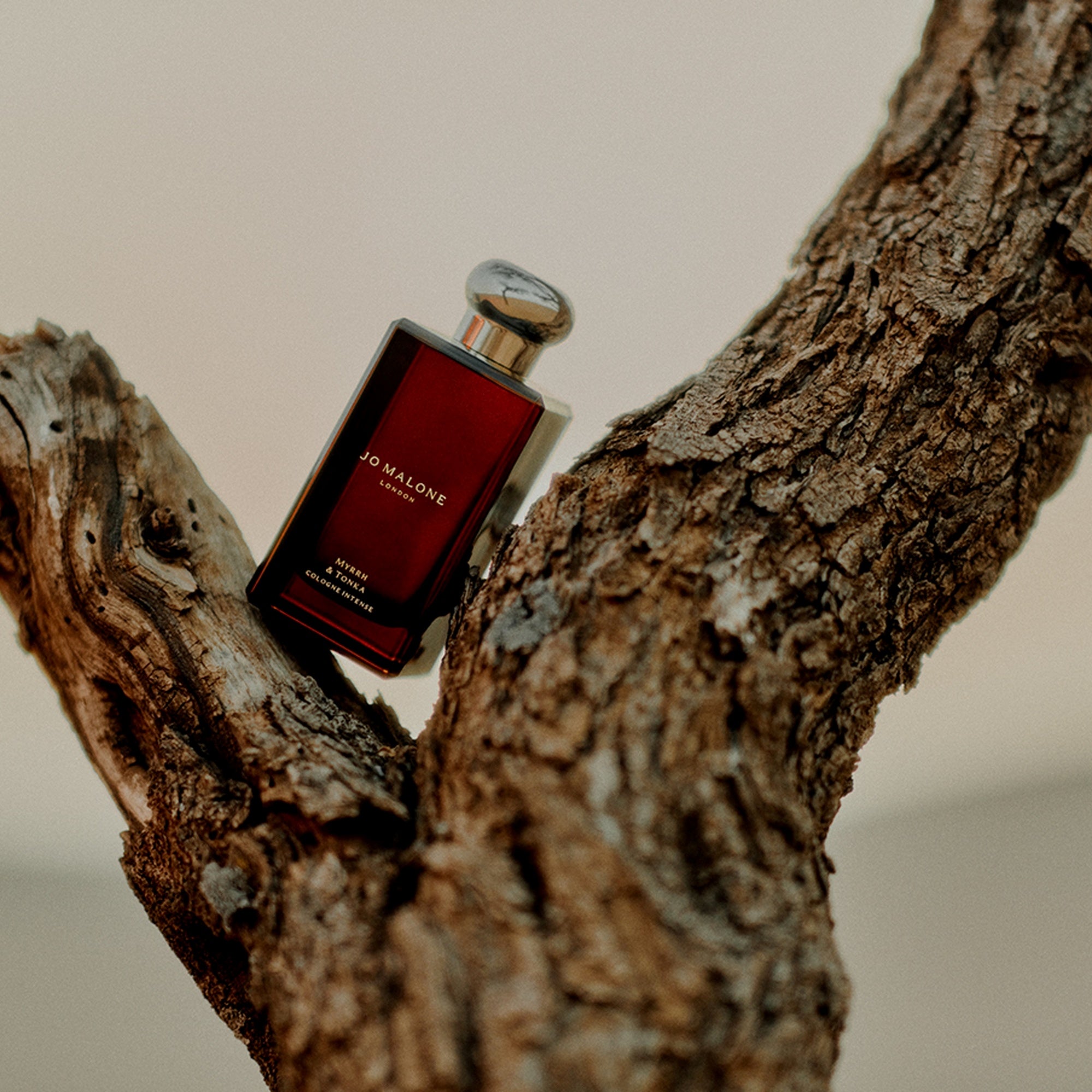 Ladies Oud & Bergamot Cologne Intense – Edgars