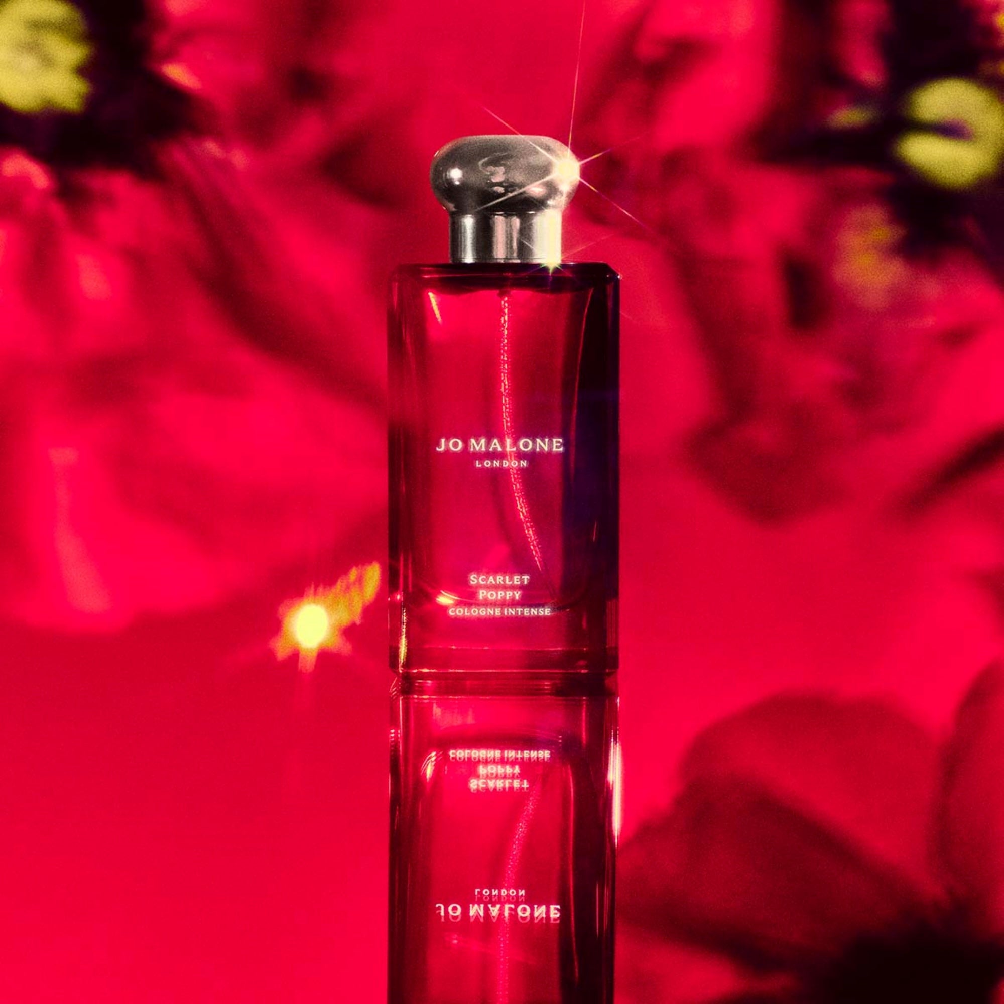 Ladies Velvet Rose & Oud Cologne Intense – Edgars