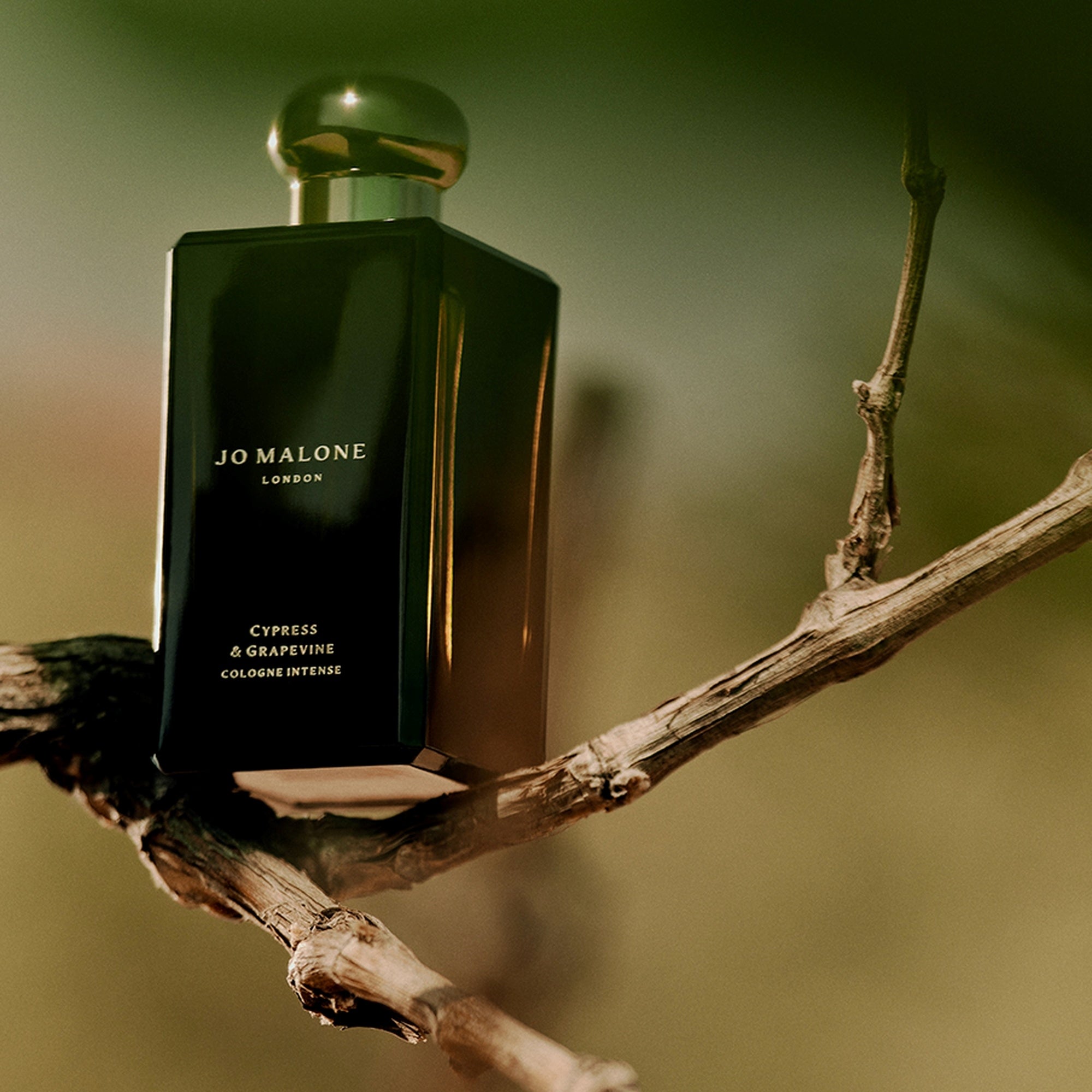 Ladies Cypress & Grapevine Cologne Intense – Edgars