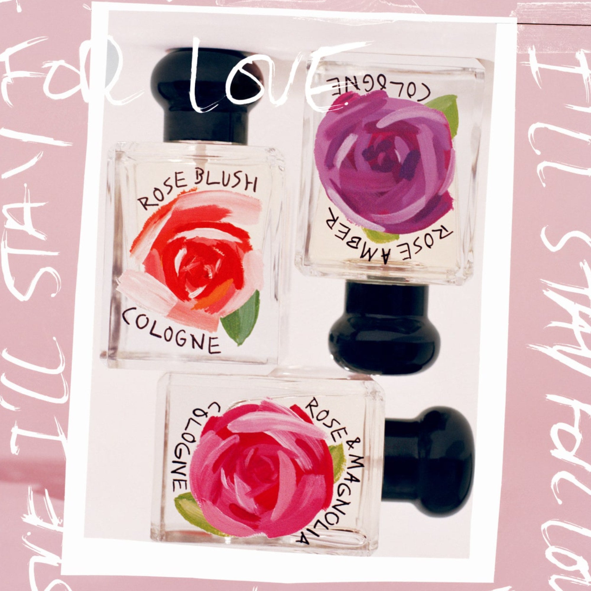 Ladies Rose & Magnolia Cologne 50ml – Edgars