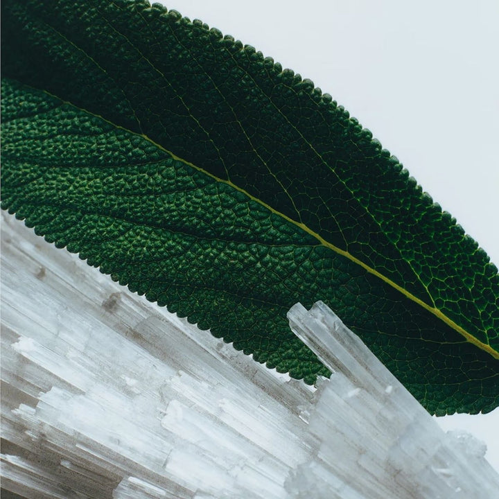 Wood Sage & Sea Salt Cologne Travel Spray - 10ml