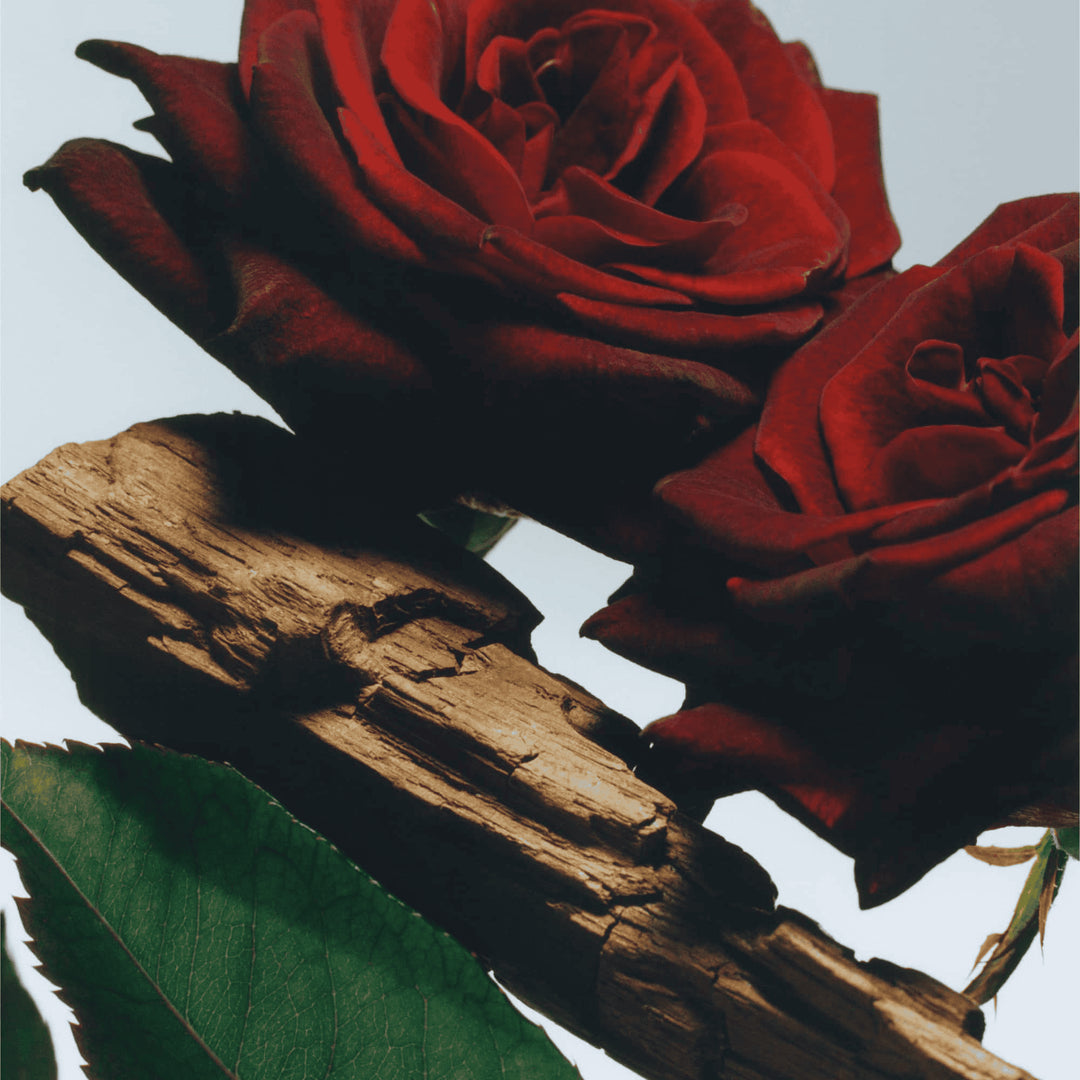 Velvet Rose & Oud All Over Body Spray