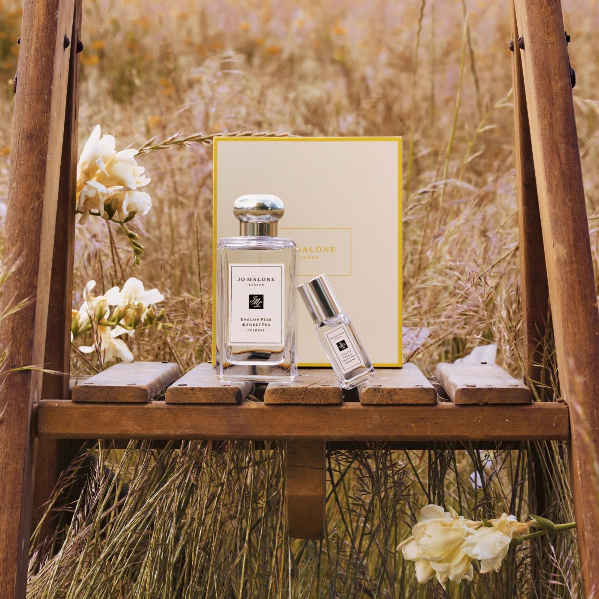 Ladies English Pear Discovery Collection – Edgars