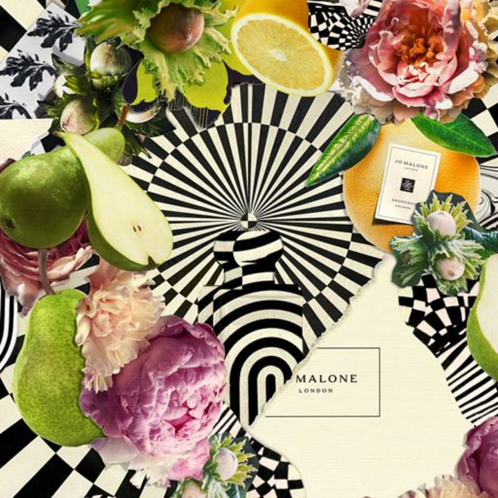 Layering Discovery Collection