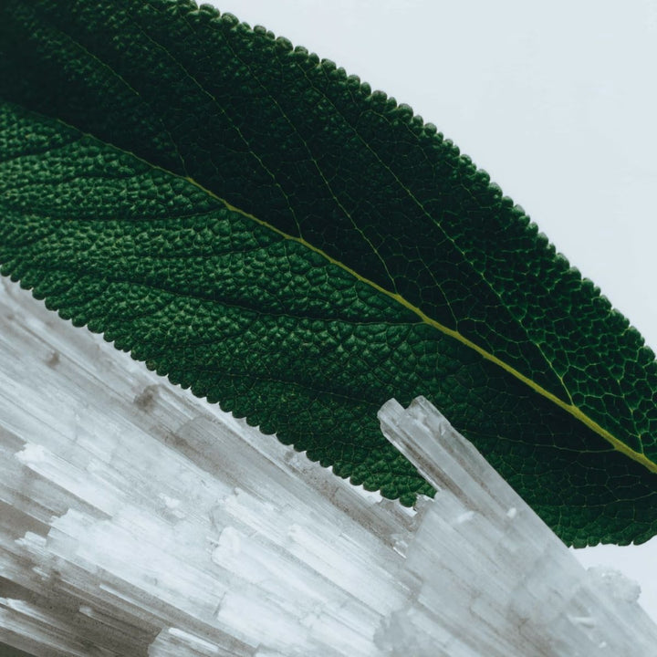 Wood Sage & Sea Salt Hair Mist - 30ml