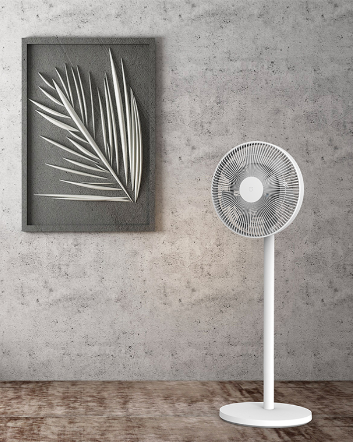 Smart Standing Fan 2