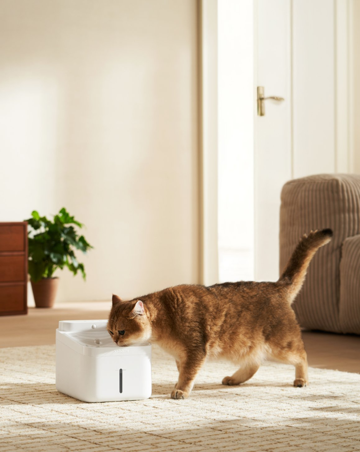 Smart Pet Fountain 2