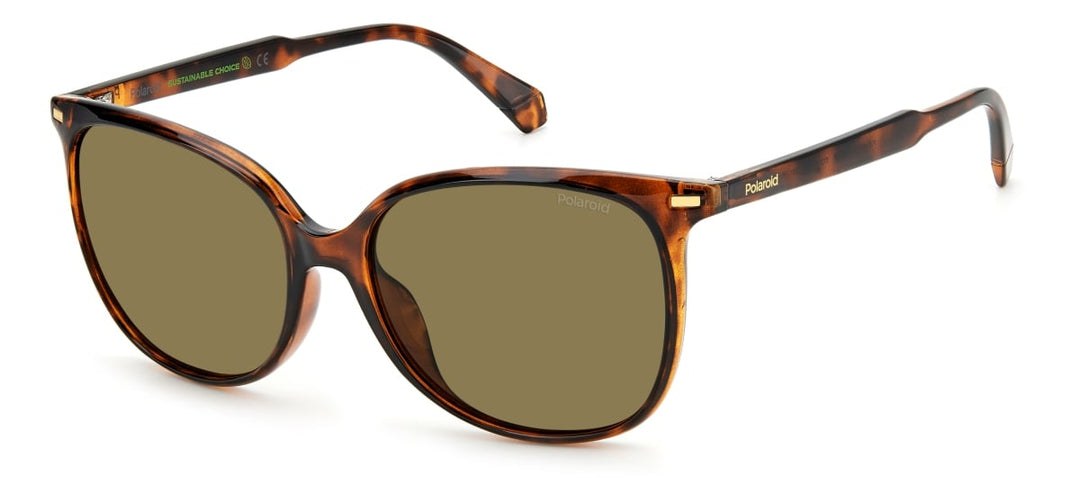 POLAROID PLD 4125/G/S - Brown