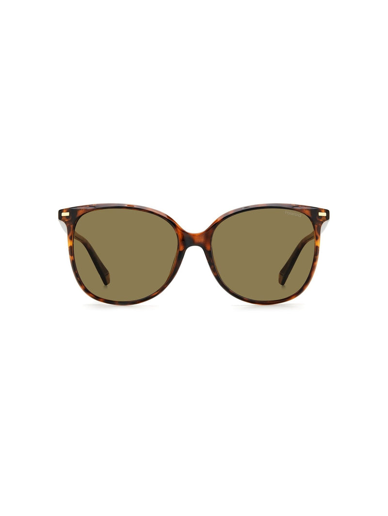 POLAROID PLD 4125/G/S - Brown