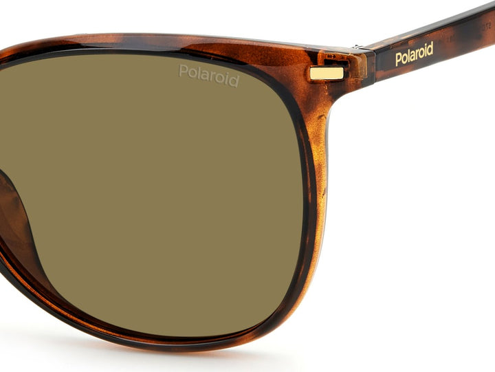 POLAROID PLD 4125/G/S - Brown
