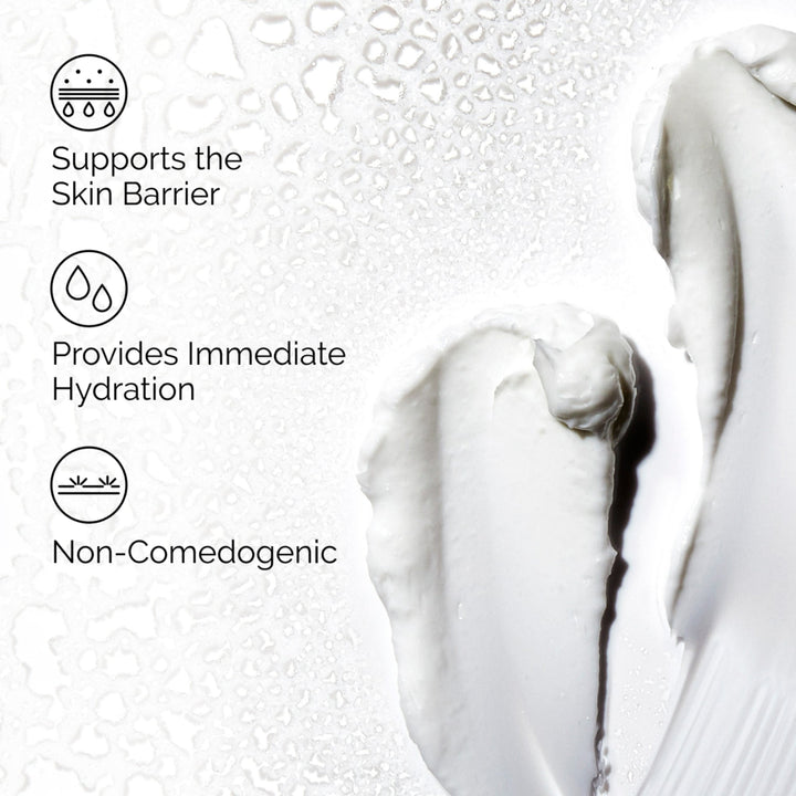 Natural Moisturizing Factors + HA | The Ordinary