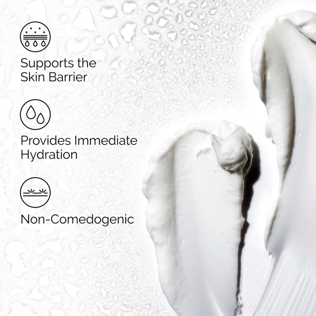 Natural Moisturizing Factors + HA | The Ordinary