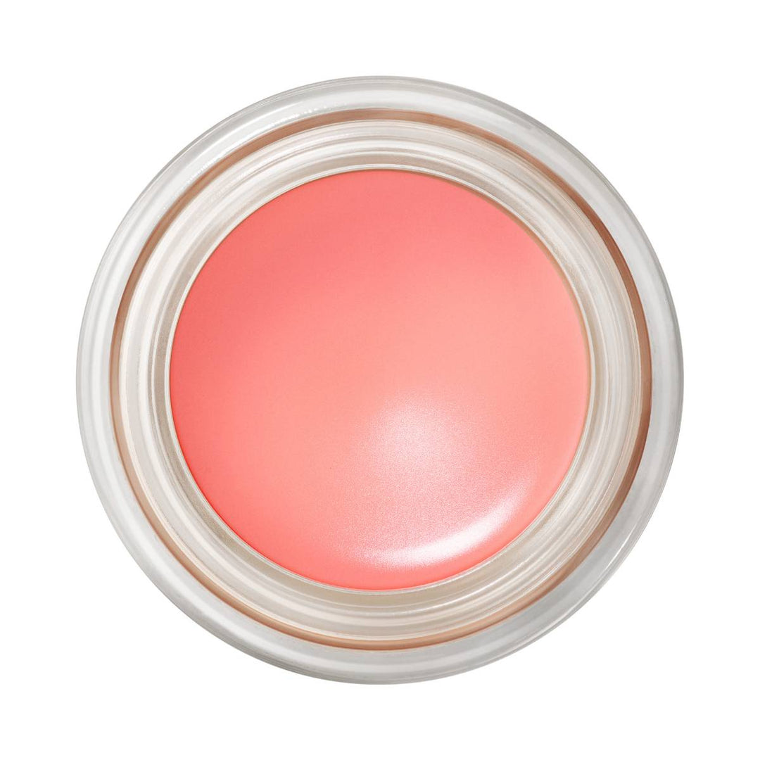 Mac Pro Longwear Paintpot