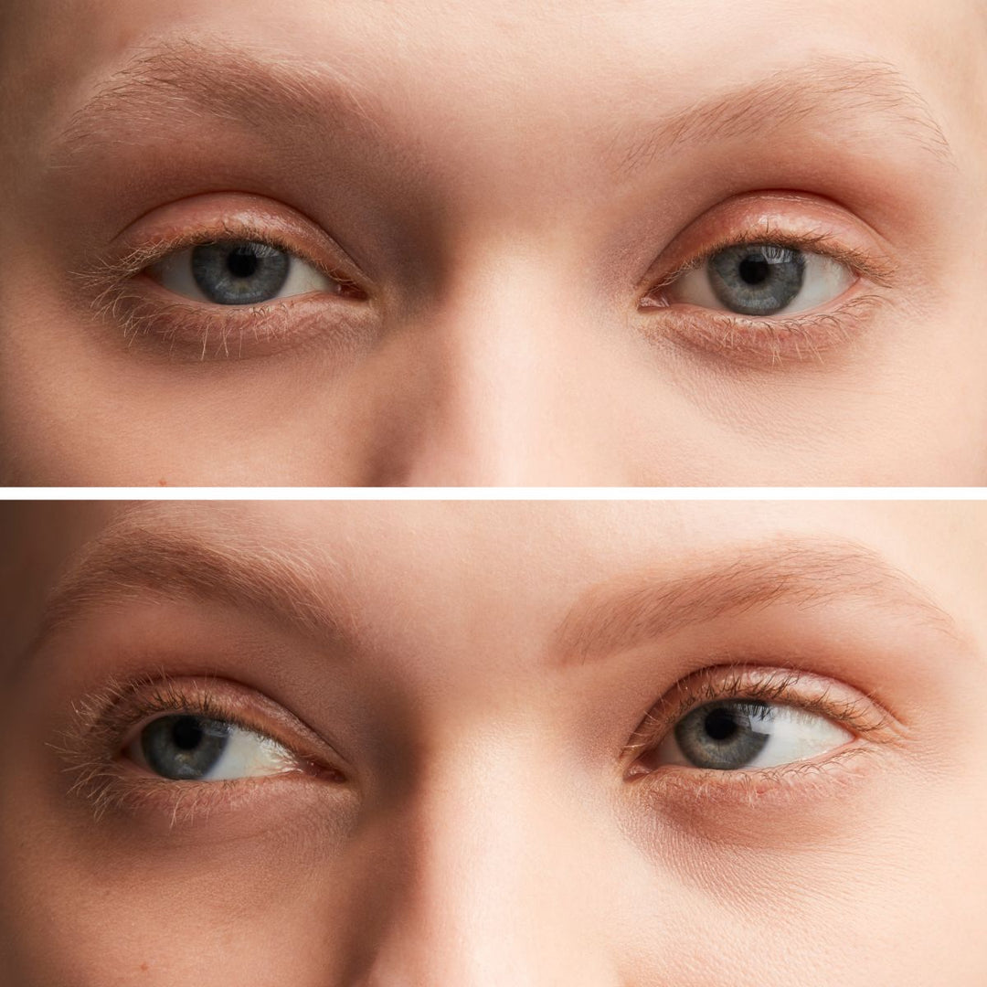 Eye Brow Styler