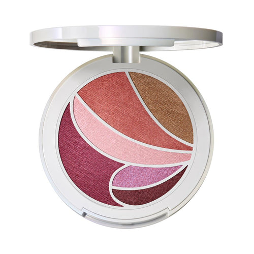 Metamorphosis Face & Eye Palette / Metamorphosis Collection