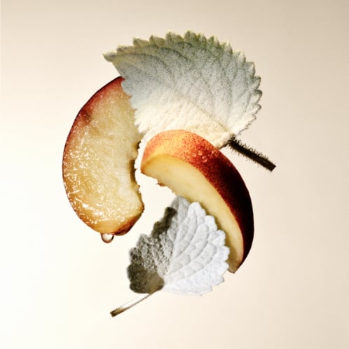 Splendida Patchouli Tentation Eau De Parfum Spray