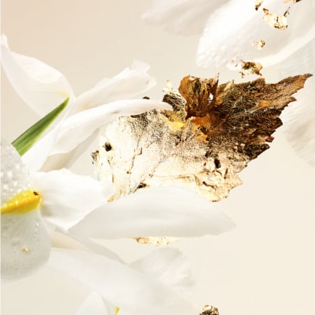 Splendida Patchouli Tentation Eau De Parfum Spray