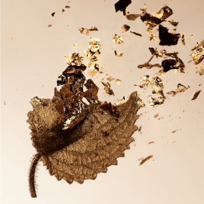 Splendida Patchouli Tentation Eau De Parfum Spray