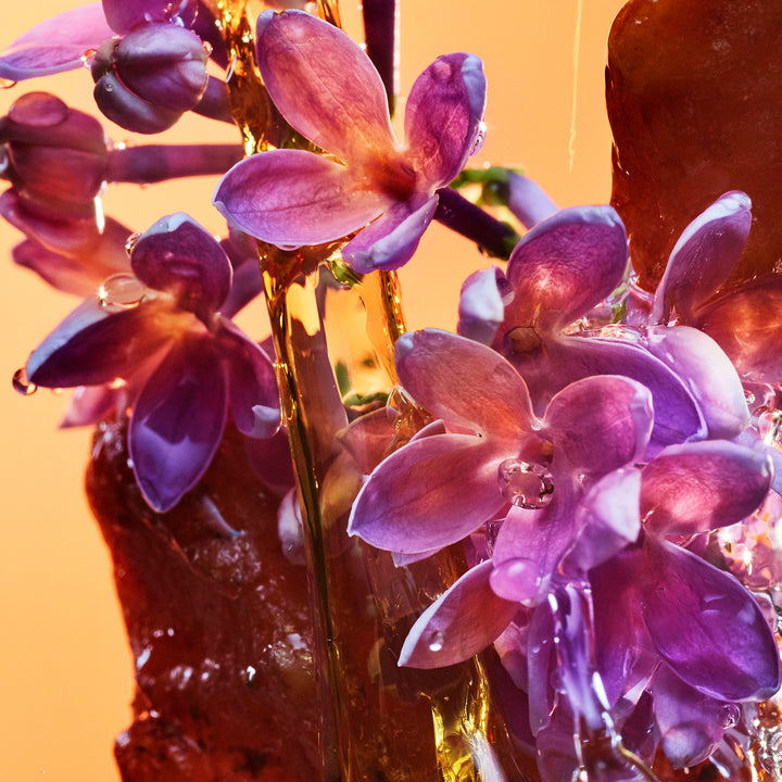 Allegra Rock'N'Rome Eau De Parfum