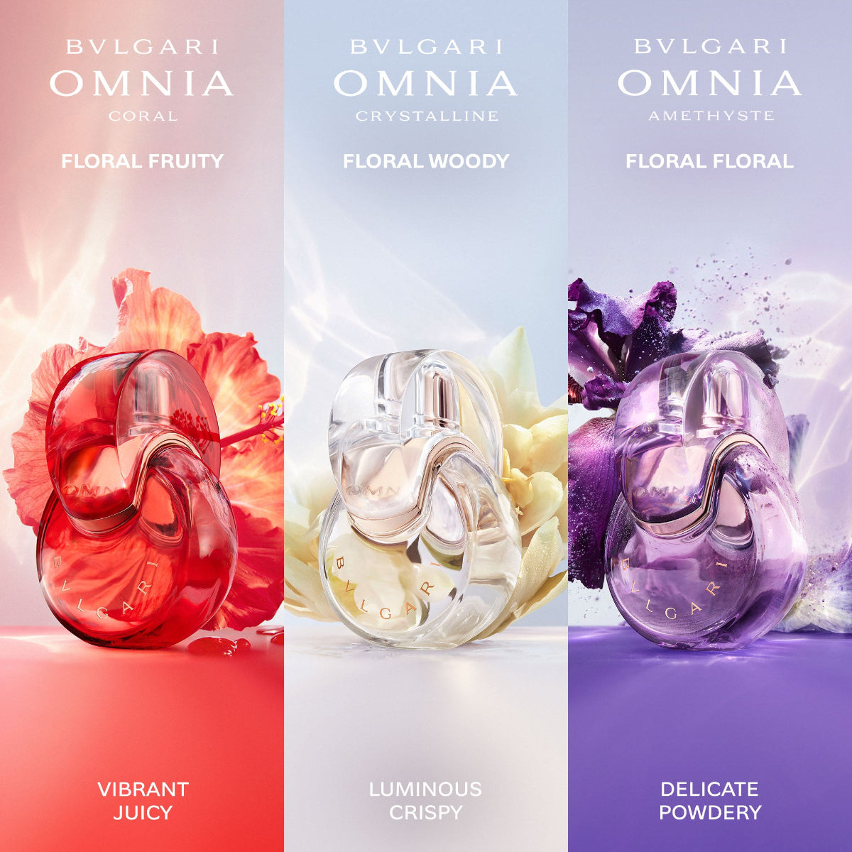 Ladies Omnia Crystalline Eau de Toilette – Edgars