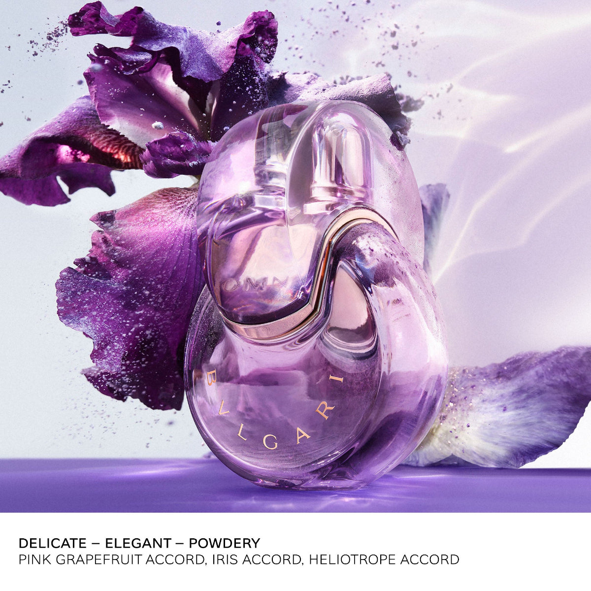 Ladies Omnia Amethyste Eau de Toilette – Edgars