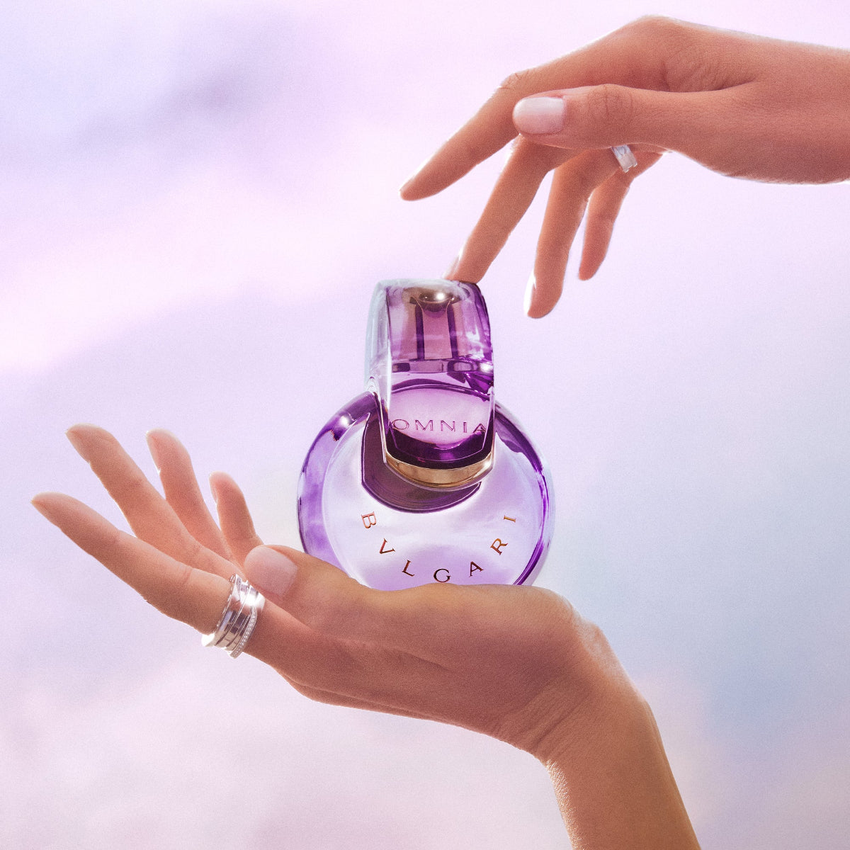 Ladies Omnia Amethyste Eau de Toilette – Edgars