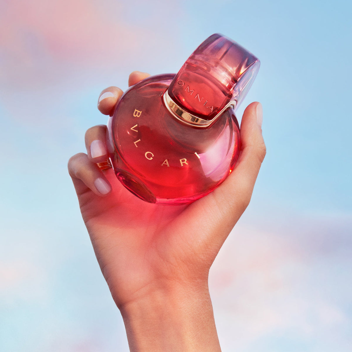 【新品 希少 65ml】 ブルガリ BVLGARI 香水 OMNIA CORAL Ladies Omnia Coral Eau de Toilette – Edgars