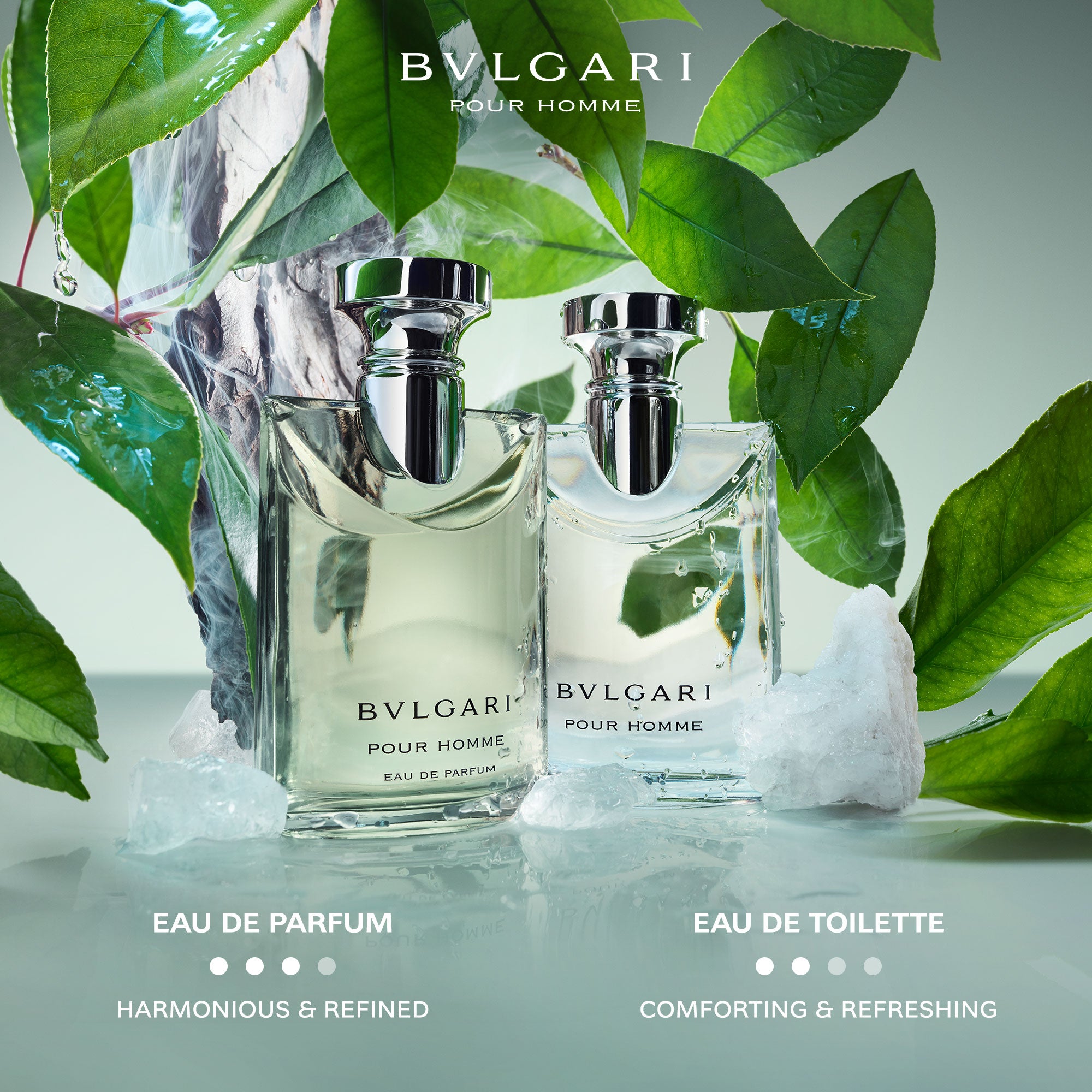 Mens Pour Homme Eau de Parfum – Edgars