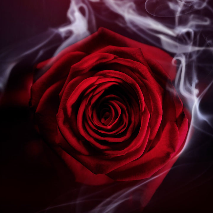 Le Gemme Garanat Eau de Parfum