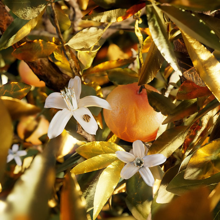 Le Gemme Tygar Eau de Parfum