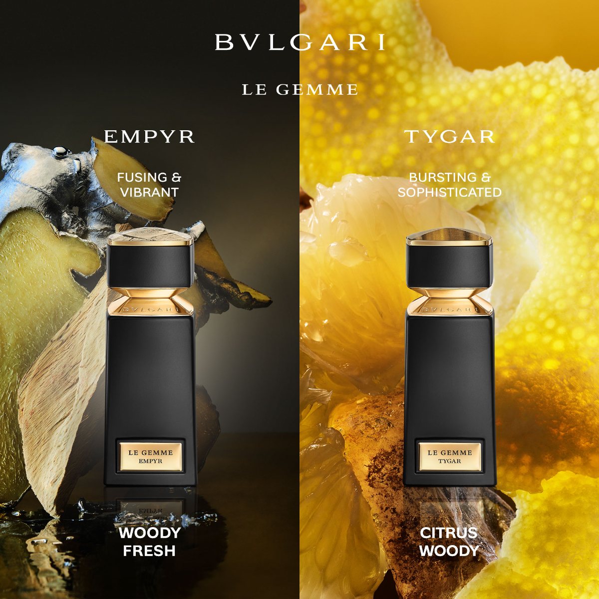Le Gemme Tygar Eau de Parfum – Edgars