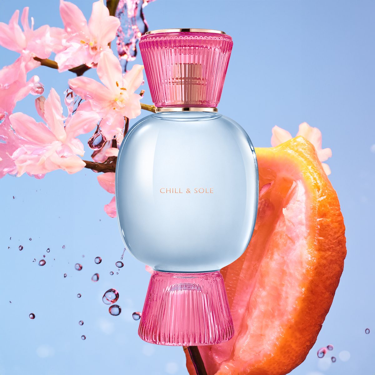 Ladies Allegra Chill & Sole Eau De Parfum – Edgars