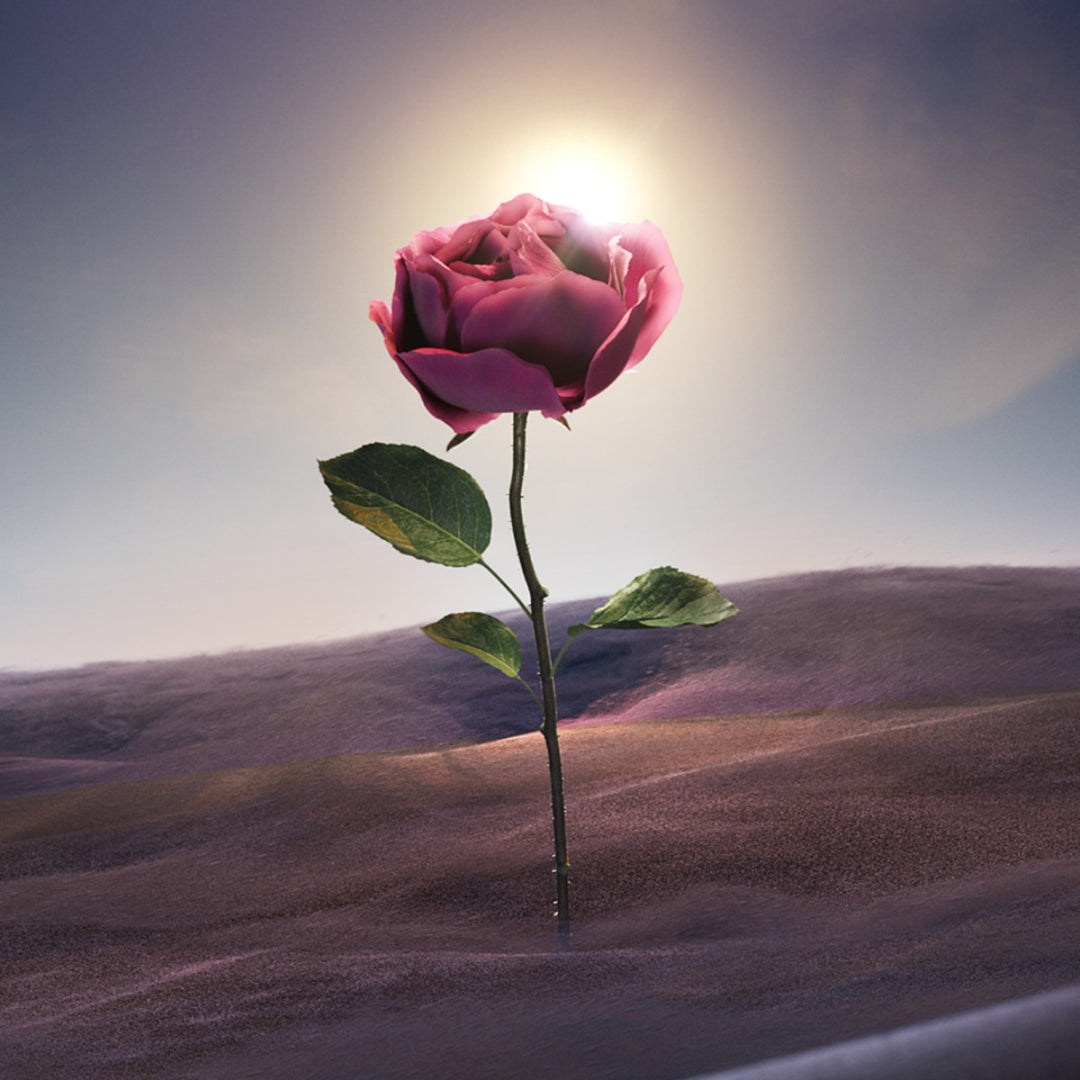 Le Gemme Sahare Eau de Parfum 60ml